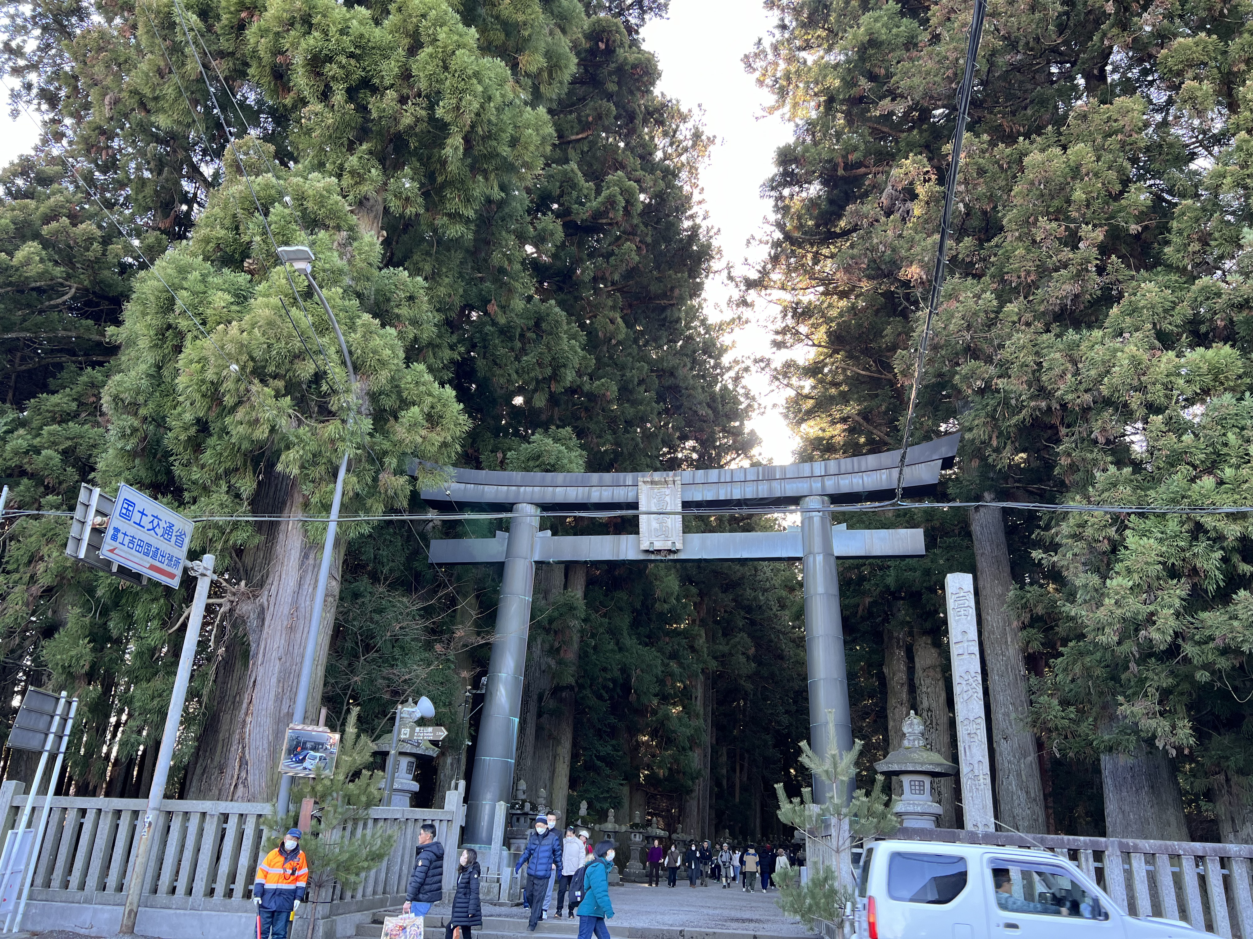 道路の向こうに大きな鳥居とそれを囲む大きな木々がある