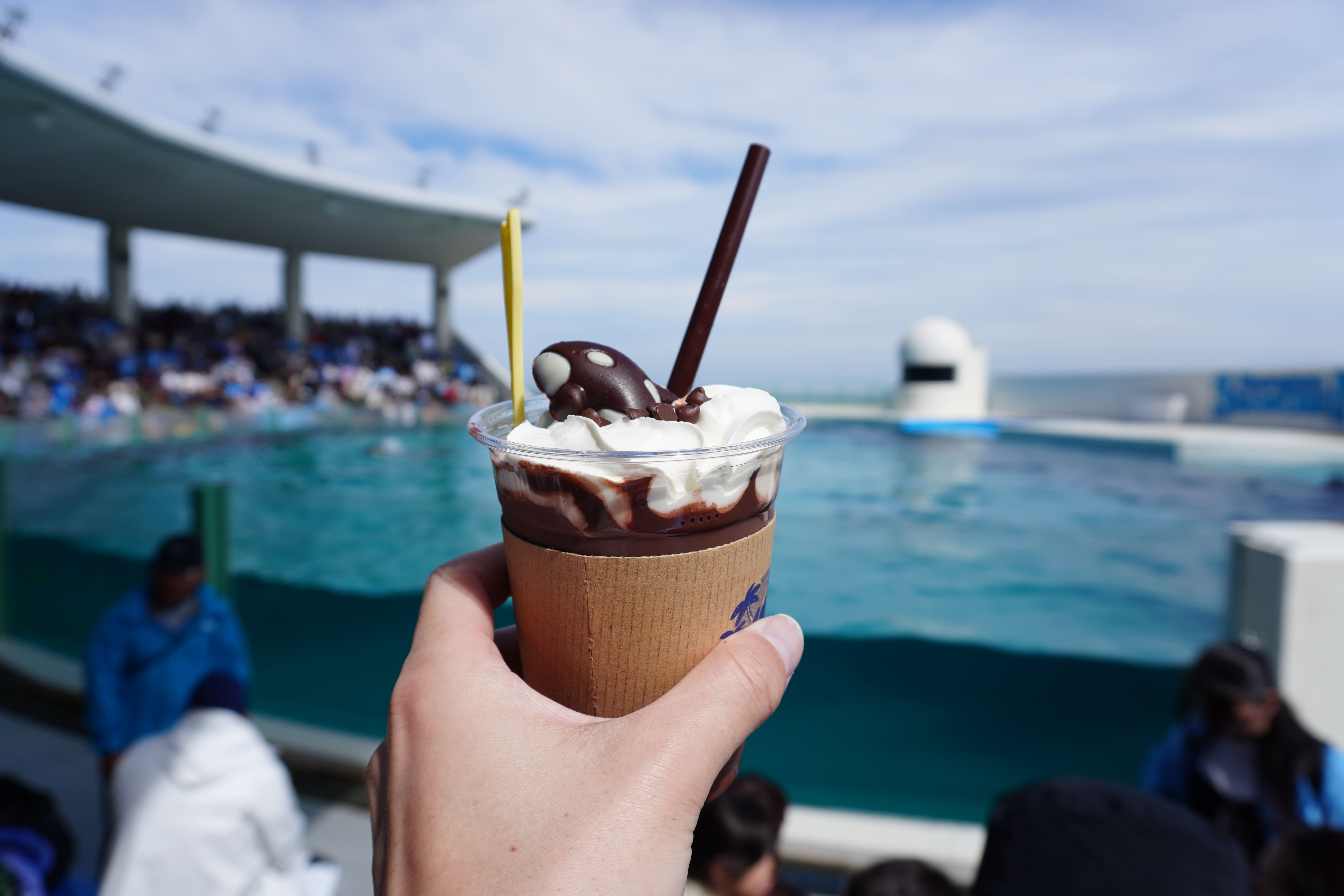 このチョコドリンクがあまりにもおいしかった。 シャチチョーのプールを背景に、手に持っているチョコドリンクを映している写真。シャチの形をしたチョコが生クリームに乗っている。