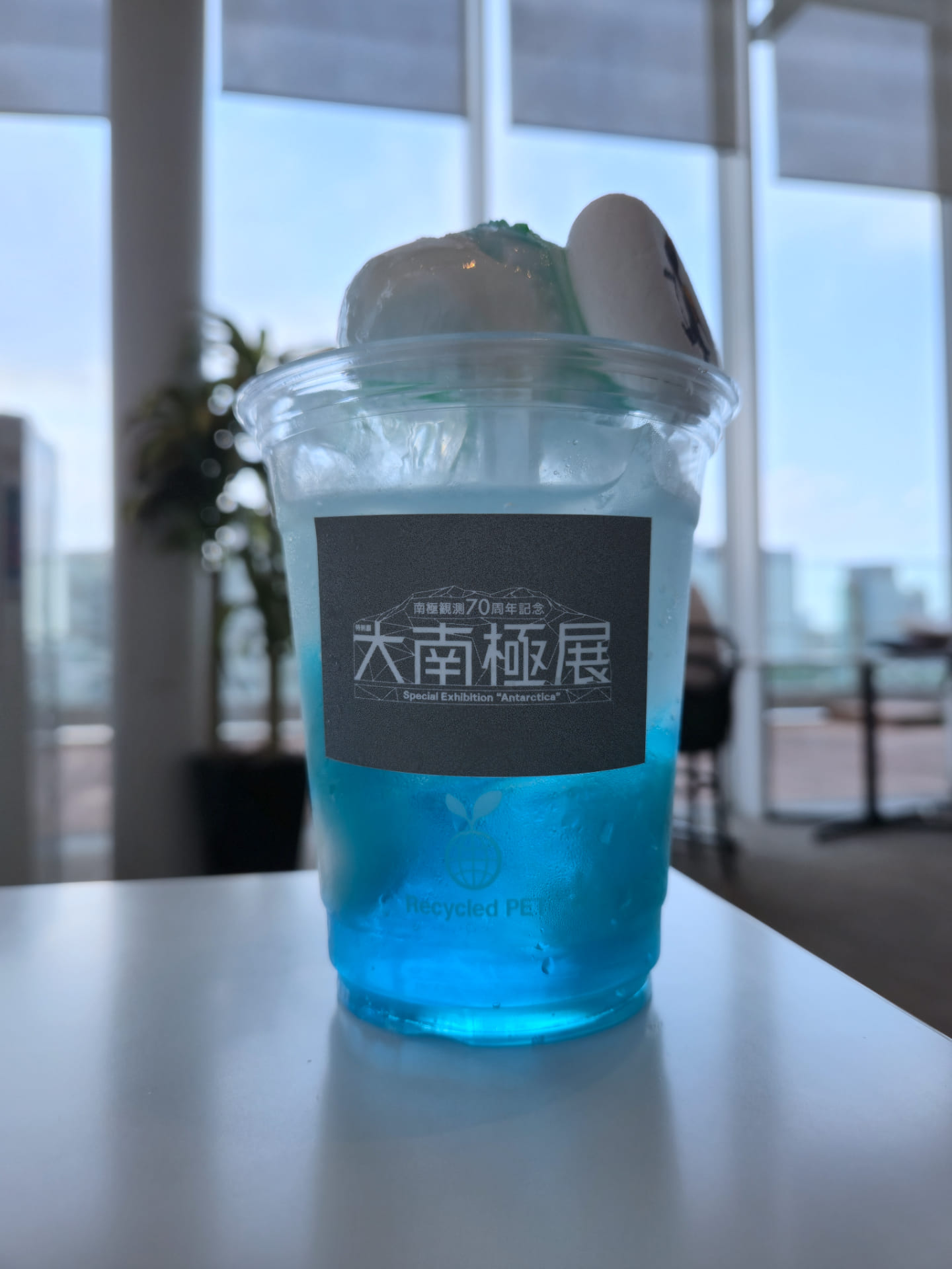 透明なプラスチックのコップの中に青い炭酸のジュースが入っている。上にはアイスとマシュマロが乗っている。コップには「大南極展」と書かれている。
