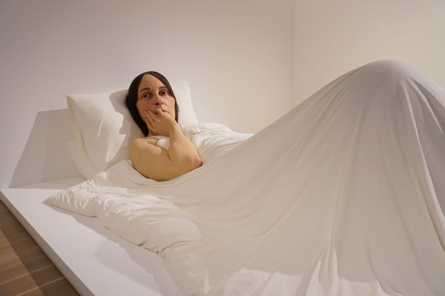 写真だとサイズ感が伝わらないけれど、多分4mくらいある女性。 大きな真っ白いベッドに寝そべる、憂いを帯びた顔の女性。とても大きい。