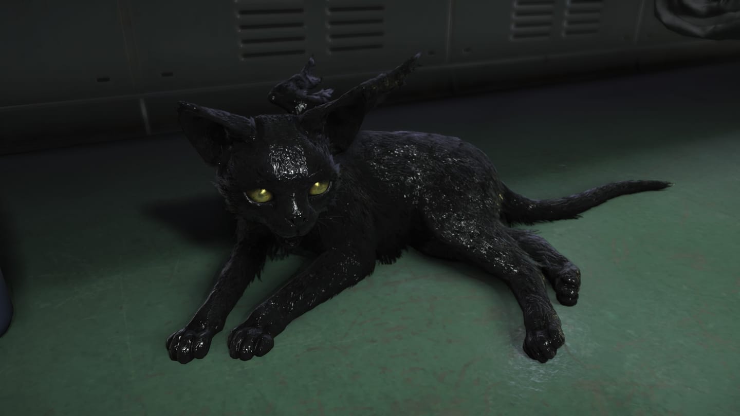 カイラル猫。こいつの可愛さがすべて…。 ゲーム『DEATH STRANDING 2: ON THE BEACH』のゲーム画面のキャプチャ。タールで作られている真っ黒な猫が寝そべっている。目だけ金色。背中には小さな羽が生えている。